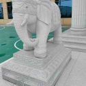 金华 白麻花岗岩动物异形石雕-大象